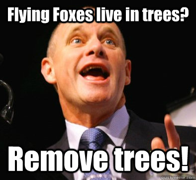 Flying Foxes live in trees? Remove trees!  