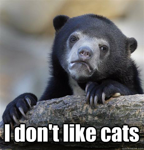  I don't like cats -  I don't like cats  Confession Bear