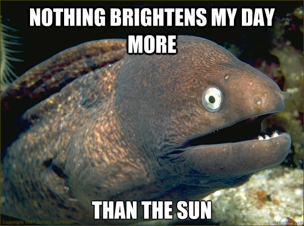 Nothing brightens my day more than the sun  Bad Joke Eel