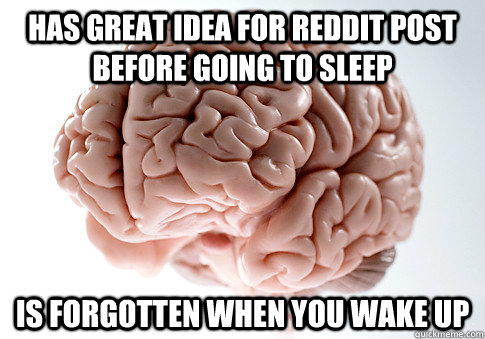 Has great idea for reddit post before going to sleep is forgotten when you wake up  Scumbag Brain