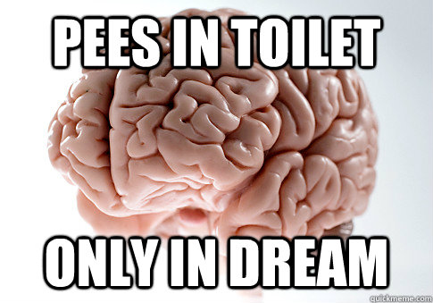 pees in toilet only in dream  Scumbag Brain