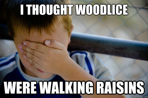 I thought woodlice were walking raisins - I thought woodlice were walking raisins  Misc