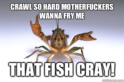 Crawl so hard motherfuckers wanna fry me That Fish Cray! - Crawl so hard motherfuckers wanna fry me That Fish Cray!  That shit crayfish