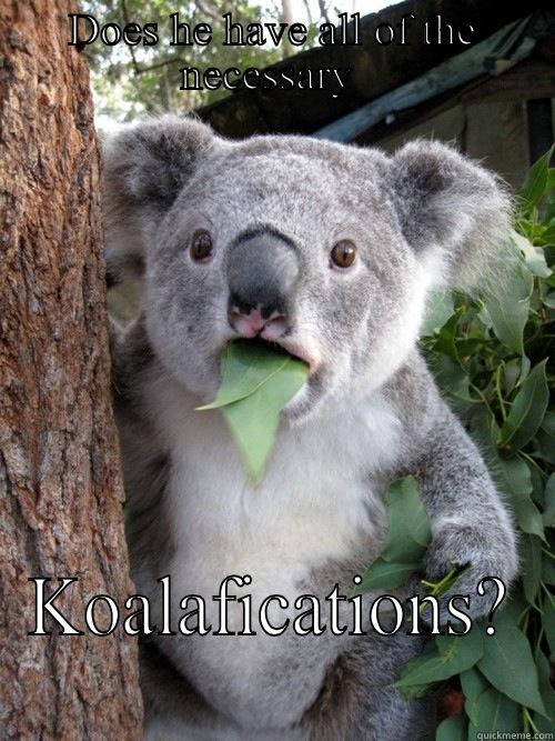 DOES HE HAVE ALL OF THE NECESSARY  KOALAFICATIONS?  koala bear