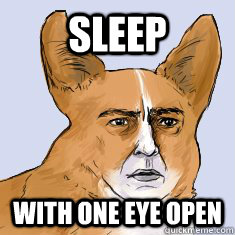 Sleep with one eye open - Sleep with one eye open  man-corgi