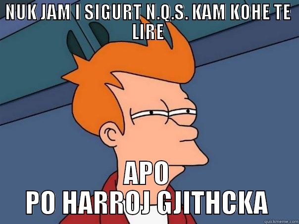 NUK JAM I SIGURT N.Q.S. KAM KOHE TE LIRE APO PO HARROJ GJITHCKA Futurama Fry