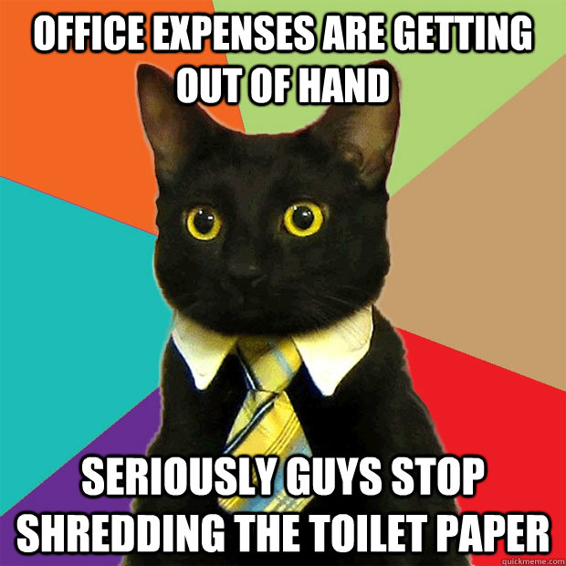 Office expenses are getting out of hand Seriously guys stop shredding the toilet paper  Business Cat