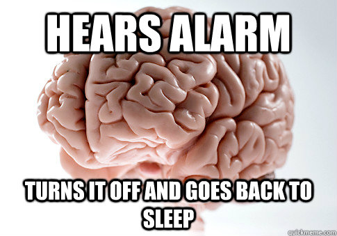 hears alarm turns it off and goes back to sleep   Scumbag Brain