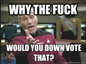 WHY THE FUCK WOULD YOU DOWN VOTE THAT?  Annoyed Picard