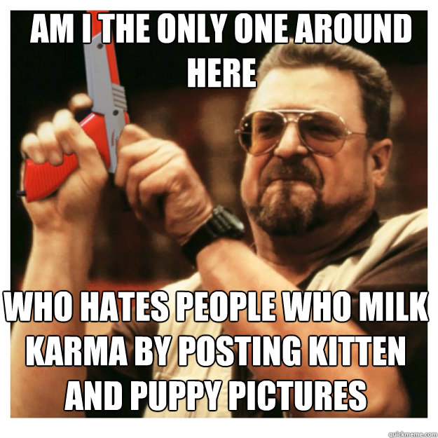 am i the only one around here Who hates people who milk karma by posting kitten and puppy pictures  John Goodman