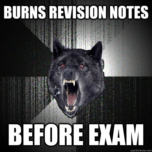 Burns revision notes Before exam  Insanity Wolf