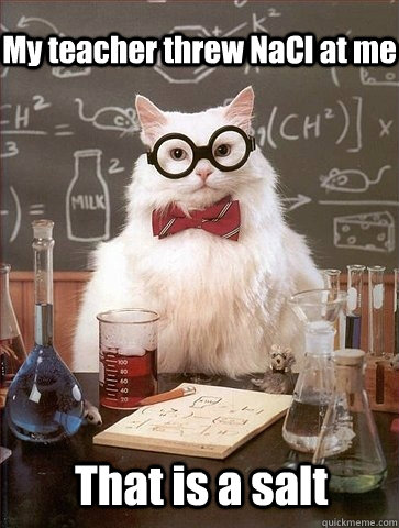 My teacher threw NaCl at me That is a salt  Chemistry Cat