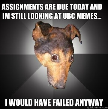 Assignments are due today and im still looking at ubc memes... I would have failed anyway  Depression Dog