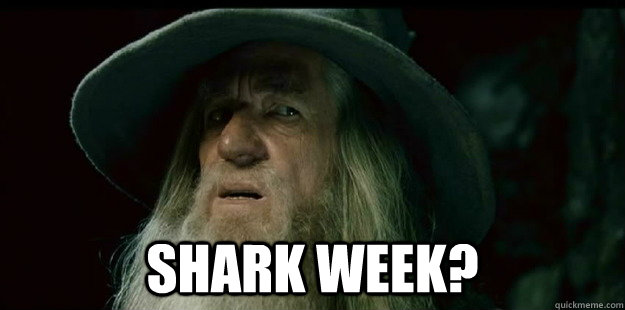  Shark Week?  I have no memory Gandalf