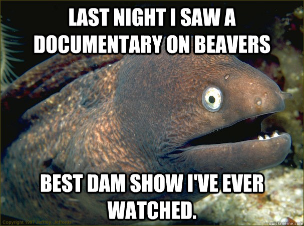 Last night I saw a documentary on beavers Best dam show I've ever watched.   Bad Joke Eel