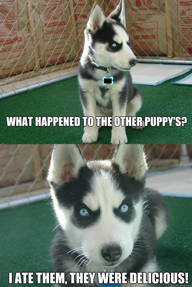 what happened to the other puppy's? i ate them, they were delicious! - what happened to the other puppy's? i ate them, they were delicious!  Insanity puppy