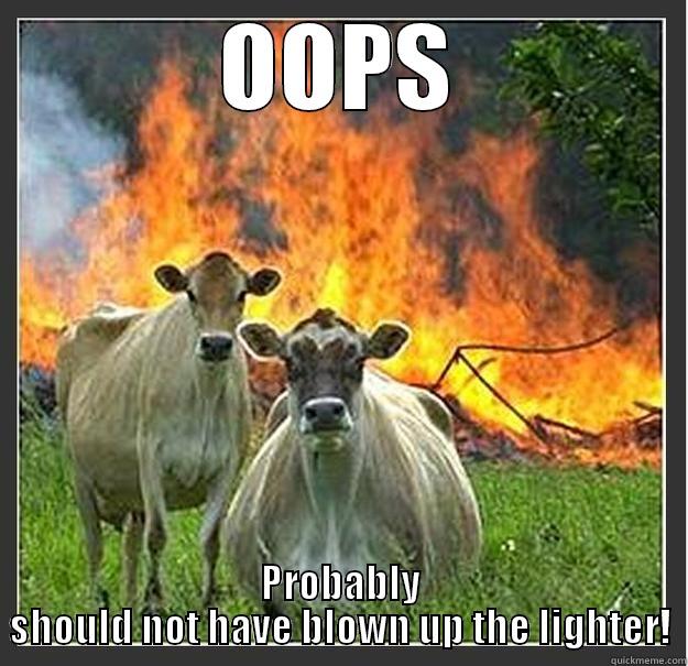 Cory and I - OOPS PROBABLY SHOULD NOT HAVE BLOWN UP THE LIGHTER! Evil cows