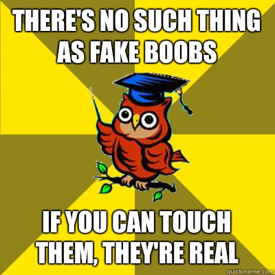 There's no such thing as fake boobs If you can touch them, they're real  Observational Owl