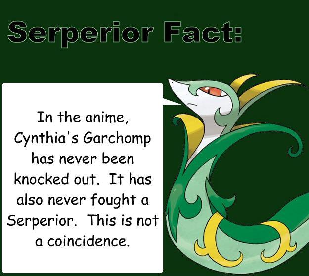 In the anime, Cynthia's Garchomp has never been knocked out.  It has also never fought a Serperior.  This is not a coincidence. - In the anime, Cynthia's Garchomp has never been knocked out.  It has also never fought a Serperior.  This is not a coincidence.  Serperior Facts