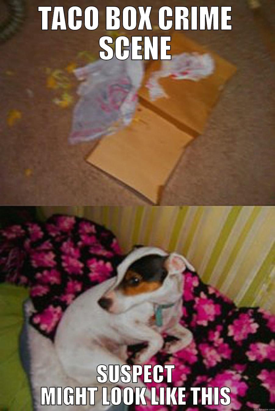 Taco box has been murdered. Possible Suspect? - TACO BOX CRIME SCENE SUSPECT MIGHT LOOK LIKE THIS Misc