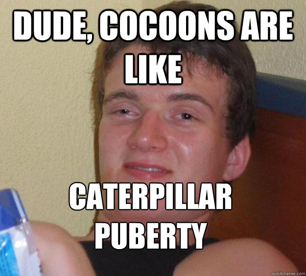 Dude, cocoons are like caterpillar puberty
  10 Guy