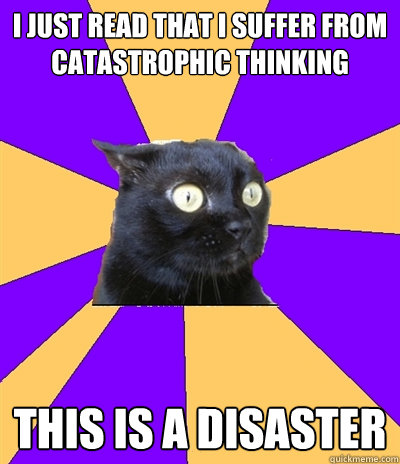 I just read that I suffer from catastrophic thinking This is a disaster  Anxiety Cat