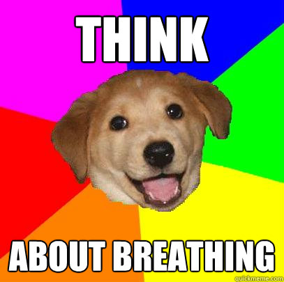 Think About breathing  Advice Dog