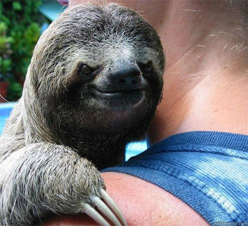    Suspiciously Evil Sloth