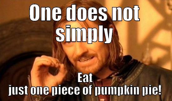 ONE DOES NOT SIMPLY EAT JUST ONE PIECE OF PUMPKIN PIE! Boromir