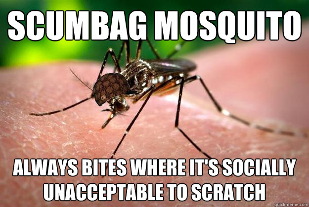 Scumbag Mosquito Always bites where it's socially unacceptable to scratch - Scumbag Mosquito Always bites where it's socially unacceptable to scratch  Misc