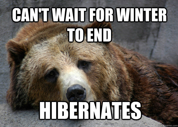 Can't wait for winter to end Hibernates - Can't wait for winter to end Hibernates  Unforbearing Grizzly