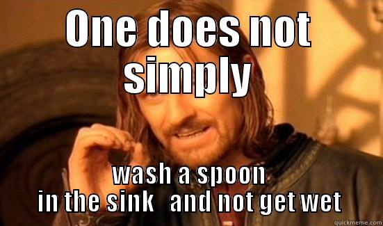 ONE DOES NOT SIMPLY WASH A SPOON IN THE SINK   AND NOT GET WET Boromir