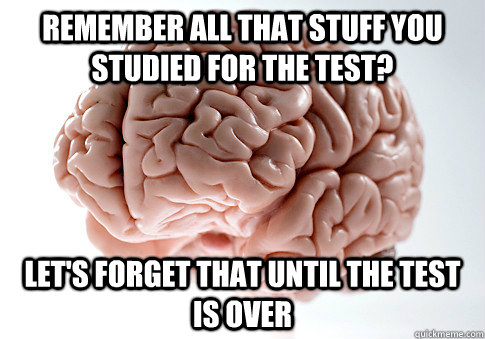 Remember all that stuff you studied for the test? let's forget that until the test is over  Scumbag Brain