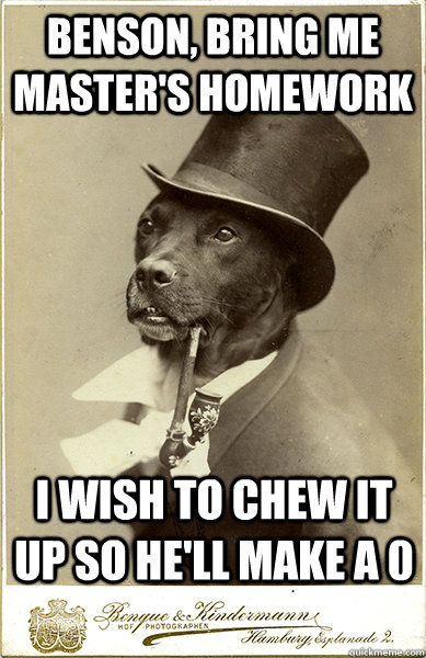 Benson, bring me master's homework I wish to chew it up so he'll make a 0 - Benson, bring me master's homework I wish to chew it up so he'll make a 0  Old Money Dog