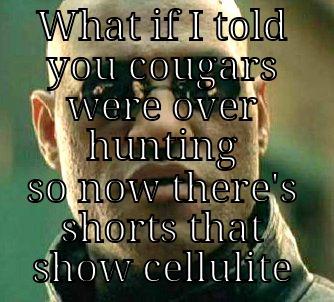 cougar extinction - WHAT IF I TOLD YOU COUGARS WERE OVER HUNTING SO NOW THERE'S SHORTS THAT SHOW CELLULITE Matrix Morpheus