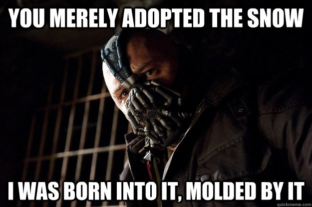 YOU MERELY ADOPTED the snow I WAS BORN INTO IT, MOLDED BY IT  Angry Bane