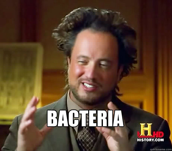  Bacteria -  Bacteria  Ancient Aliens