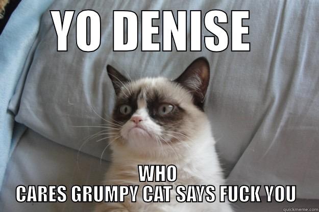 YO DENISE  WHO CARES GRUMPY CAT SAYS FUCK YOU  Grumpy Cat