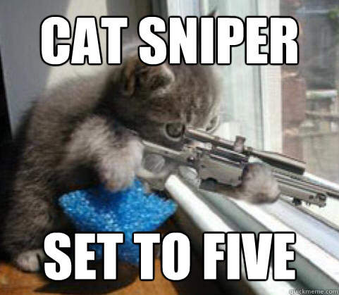 CAT SNIPER
 SET TO FIVE
 - CAT SNIPER
 SET TO FIVE
  cat sniper