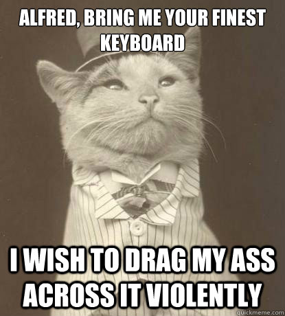 Alfred, bring me your finest keyboard I wish to drag my ass across it violently  Aristocat