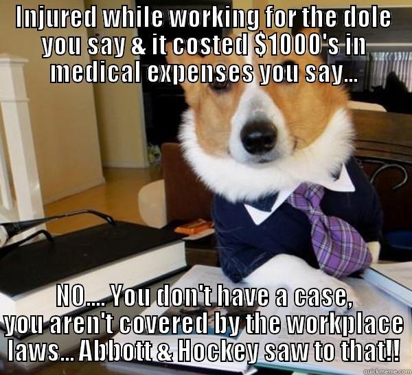 No case - INJURED WHILE WORKING FOR THE DOLE YOU SAY & IT COSTED $1000'S IN MEDICAL EXPENSES YOU SAY... NO.... YOU DON'T HAVE A CASE, YOU AREN'T COVERED BY THE WORKPLACE LAWS... ABBOTT & HOCKEY SAW TO THAT!! Lawyer Dog