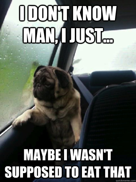 I don't know man, I just... Maybe I wasn't supposed to eat that  Introspective Pug