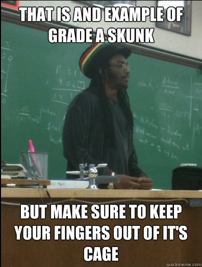 That is and example of Grade A Skunk but make sure to keep your fingers out of it's cage - That is and example of Grade A Skunk but make sure to keep your fingers out of it's cage  Rasta Science Teacher