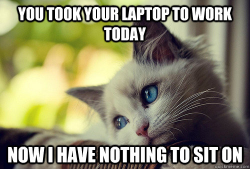 You took your laptop to work today Now I have nothing to sit on  First World Problems Cat