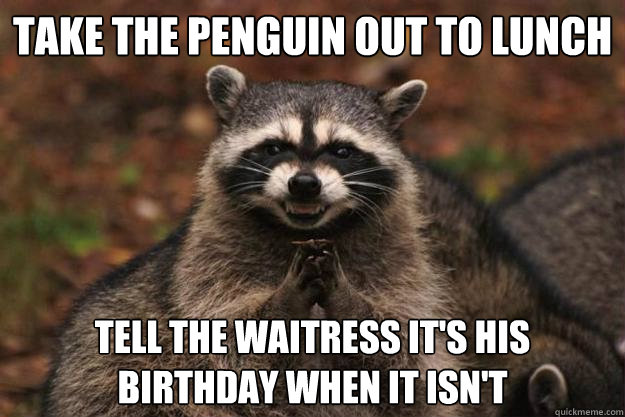 take the penguin out to lunch tell the waitress it's his birthday when it isn't  - take the penguin out to lunch tell the waitress it's his birthday when it isn't   Evil Plotting Raccoon