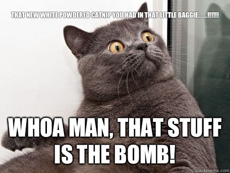 That new white powdered catnip you had in that little baggie.......!!!!!! Whoa man, that stuff is the bomb!  conspiracy cat