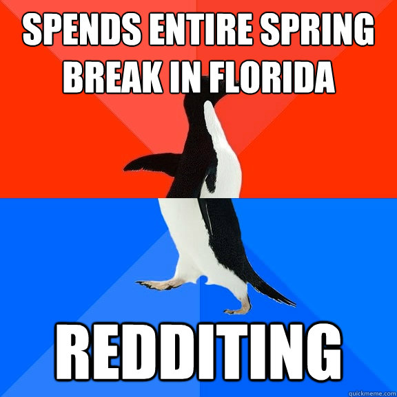 Spends entire spring break in florida Redditing - Spends entire spring break in florida Redditing  Socially Awesome Awkward Penguin