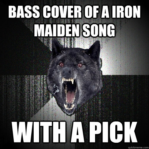 bass cover of a Iron Maiden song with a pick  Insanity Wolf