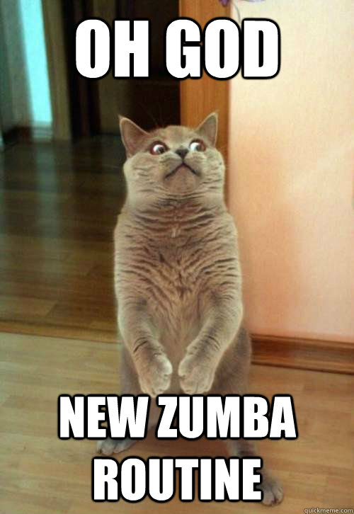 Oh god new zumba routine  Horrorcat