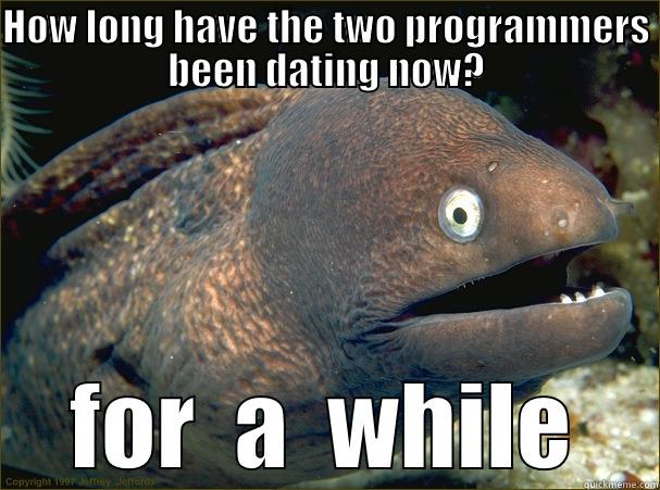 HOW LONG HAVE THE TWO PROGRAMMERS BEEN DATING NOW? FOR  A  WHILE Bad Joke Eel